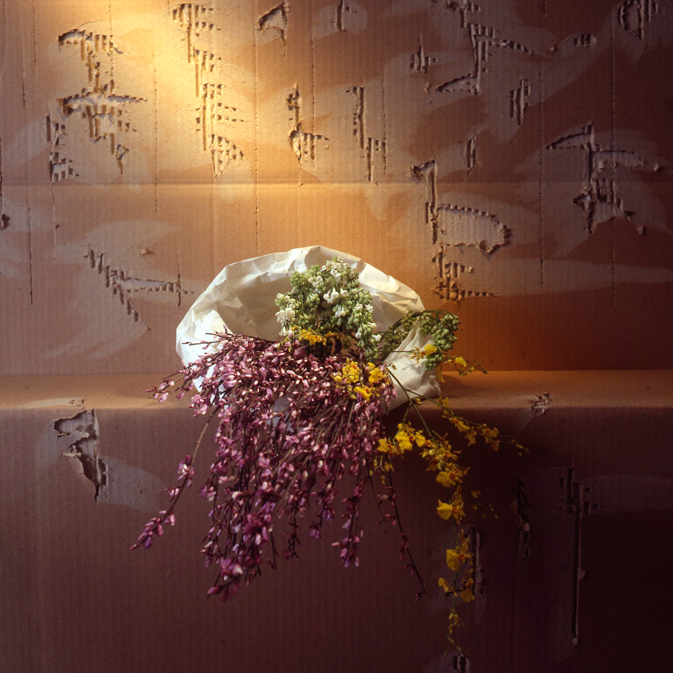Fiori sul muro